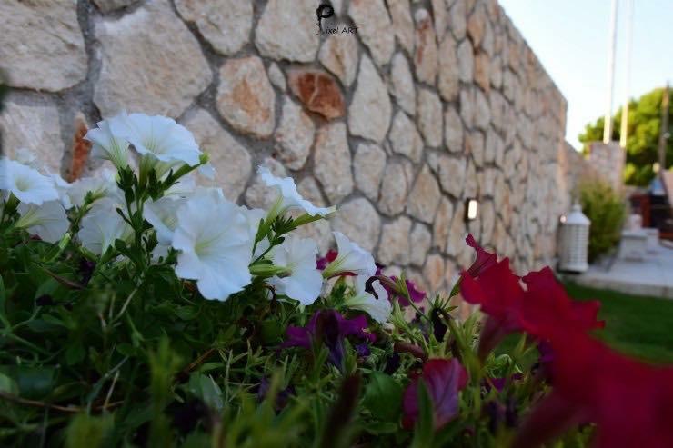 Sofelia Home Stavrós エクステリア 写真